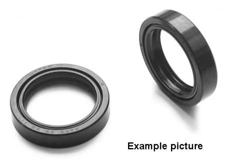 Parts Plus Voorvorkkeerring Set 43X55X9.5/10